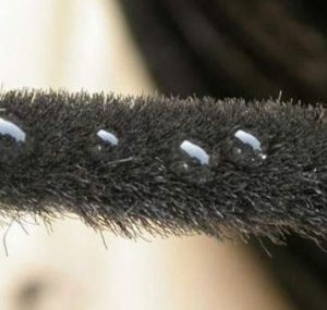 Silikonlu Kıl Fitil